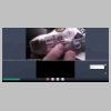 GoToMeeting 008.jpg